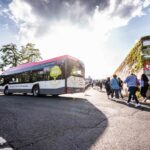 WVV Bus daneben Menschenmasse die einen Weg hoch läuft bei strahlendem Wetter