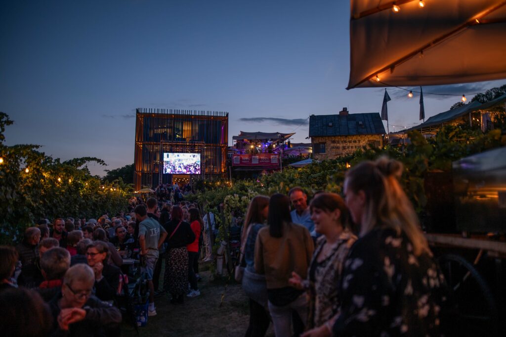 Menschen in Abenddämmerung in den Weinbergen