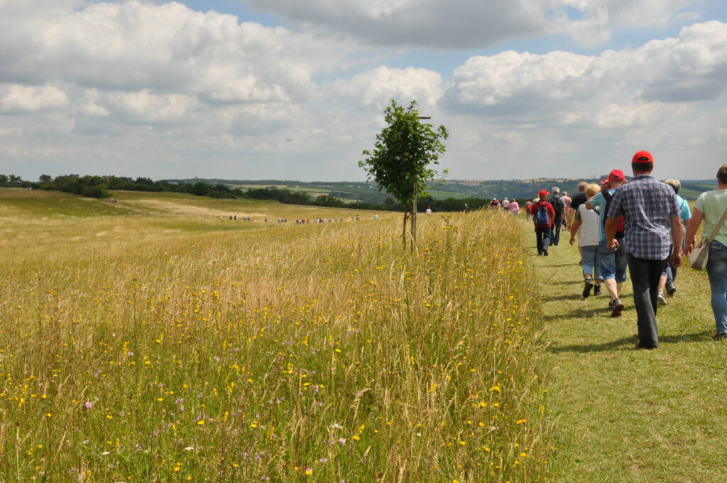 Menschen spazieren auf einem Feldweg links von Ihnen eine hohe Blumenwiese und ein Baum bei gutem Wetter