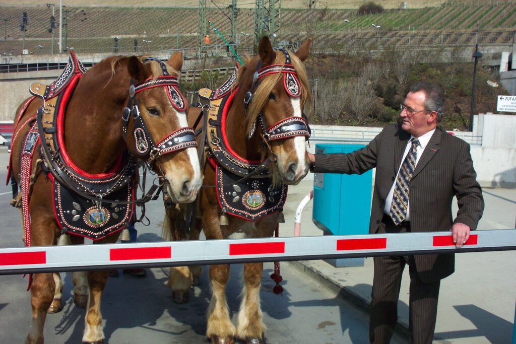 Der ehemalige WVV-Geschäftsführer Herbert Wolf mit 2 Pferden auf dem Parkhaus im Alten Hafen