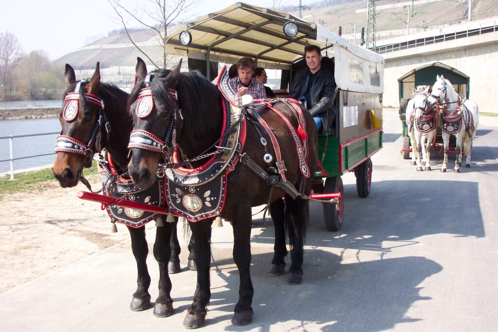 Eine Pferdekutsche auf dem Parkhaus im Alten Hafen